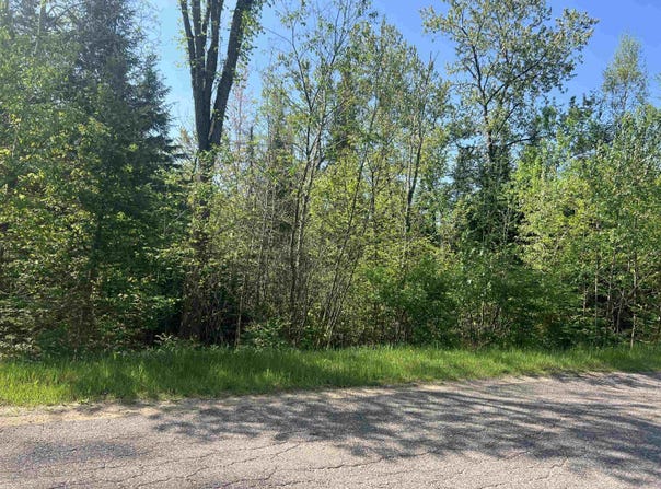FOREST HILL Drive, TOWNSEND, WI 54175