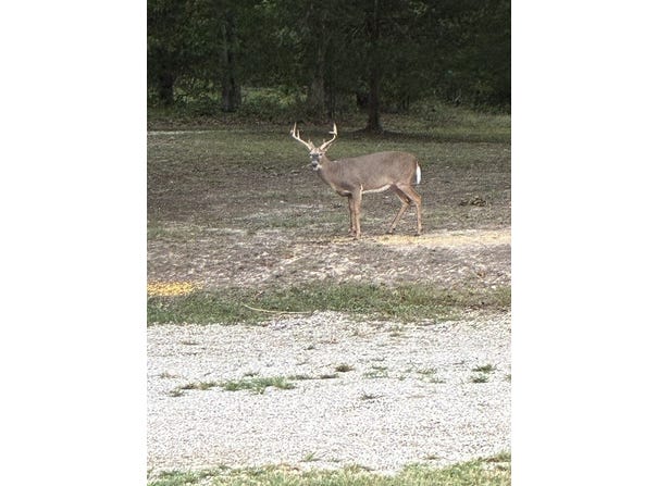 Turkeyfoot Road, Bourbon, MO 65441