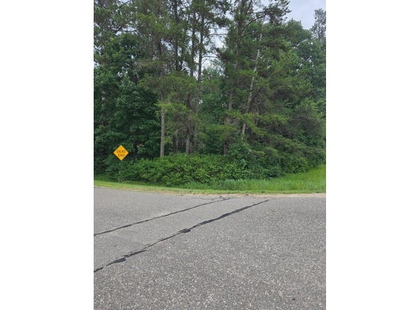 7614 Azalea Road, Pillager, MN 56473