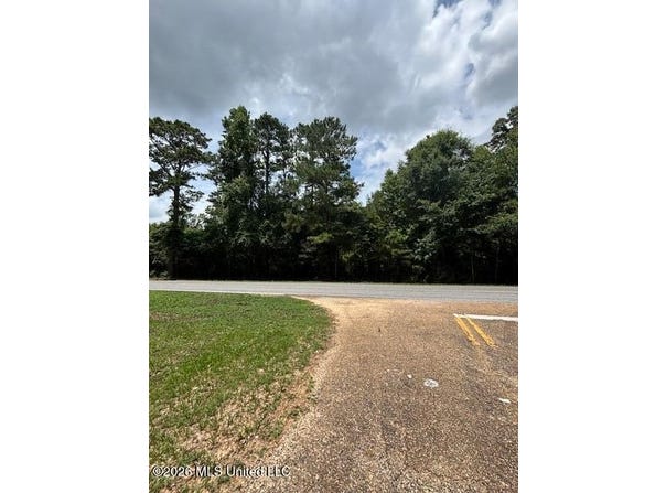 193 W Ms-48, Tylertown, MS 39667