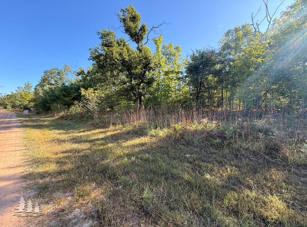 5954 Neumann Road, Lewiston, MI 49756