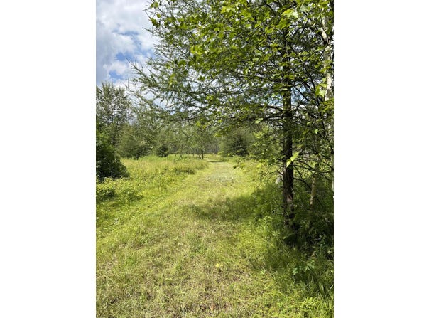 Lt44 Big Cub Trl, Laona, WI 54541
