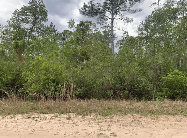 W Basford Street, Interlachen, FL 32148