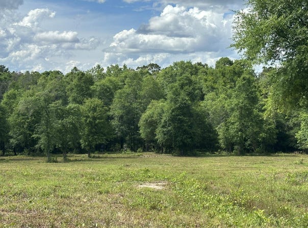 West 58 AC County Road 20/New Ebenezer, Florala, AL 36442