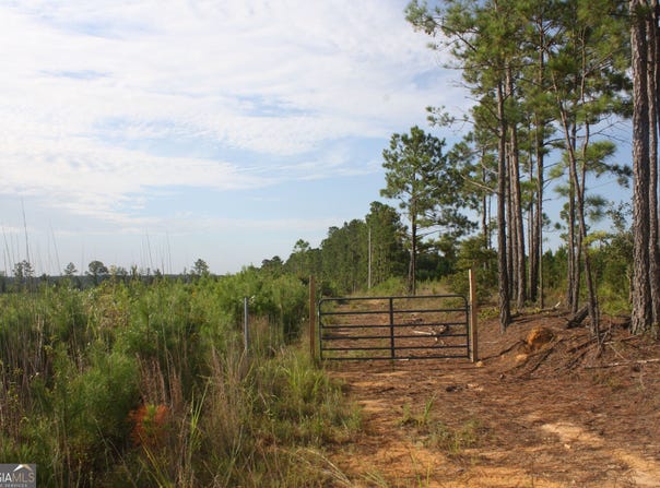 Balerma Church Road, Sparta, GA 31087