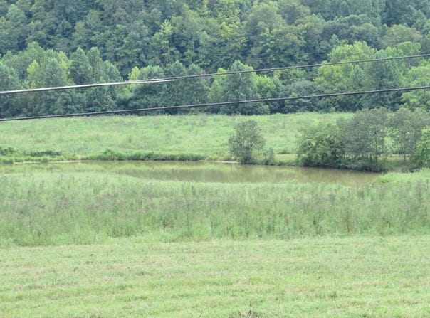 3534 McClure Branch, Louisa, KY 41230