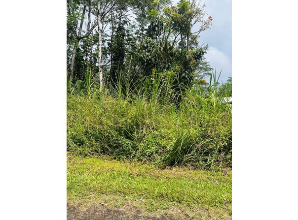 NIIHAU RD, Pahoa, HI 96778