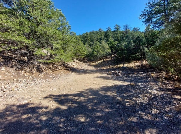 22nd Trail, Cotopaxi, CO 81223