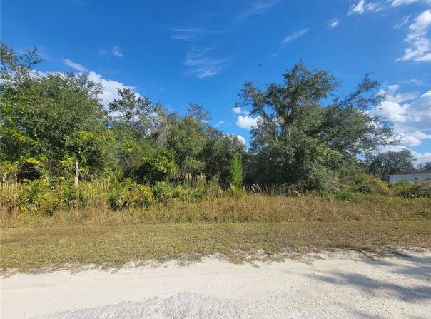 9460 ROUSSEAU Street, WEBSTER, FL 33597