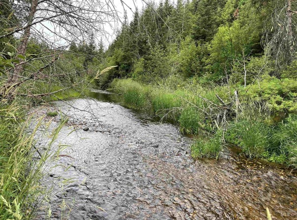 Highway 11, Pierce, ID 83546