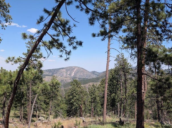 Old Camp Rd, Bellvue, CO 80512