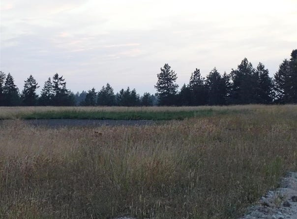 Orchard Rd, Chattaroy, WA 99003