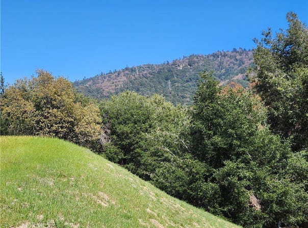327 Davos Drive, Crestline, CA 92325