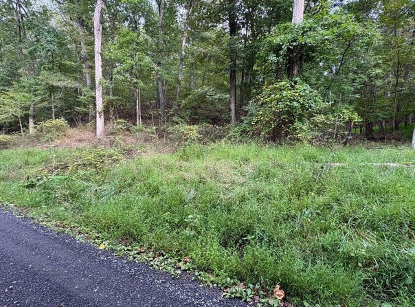 MCILWEE Court lot: 607, FRONT ROYAL, VA 22630