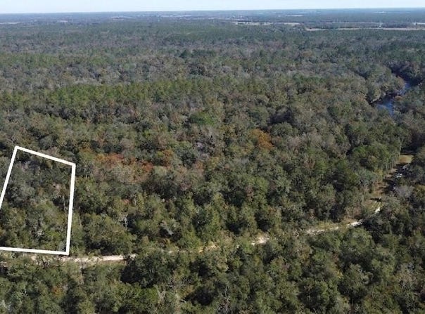 NE CHERVIL Drive, LEE, FL 32059