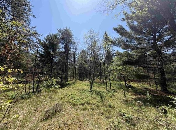 US-10, CHERRY VALLEY TWP, MI 49642