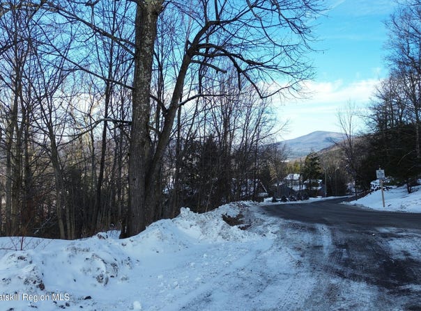Club Road, Windham, NY 12496