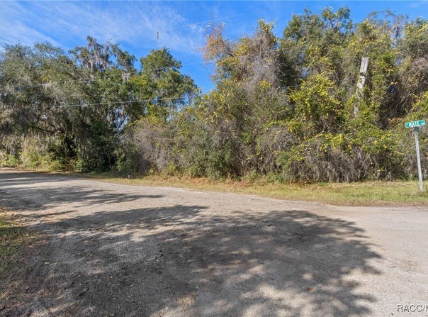 4351 E Mate Lane, Hernando, FL 34442