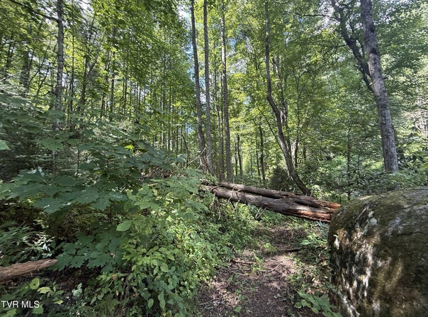 Dennis Cove Rd, Hampton, TN 37658