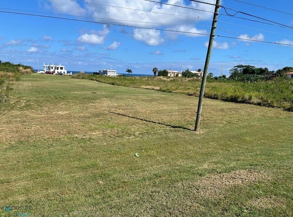 Aguacate, Aguadilla, PR 00603