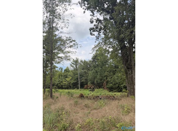 COUNTY ROAD 32 lot: 59, PIEDMONT, AL 36272