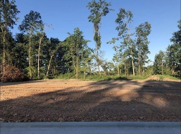 Anthony Park Subdivision Ph 4 lot: 18, Springfield, MO 65810