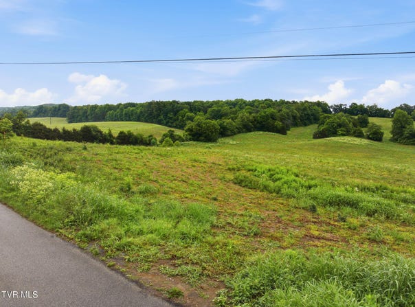 Paynetown Road lot: 5, Telford, TN 37690