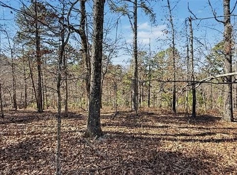 930 Pine Bark Trail, Kansas, OK 74347