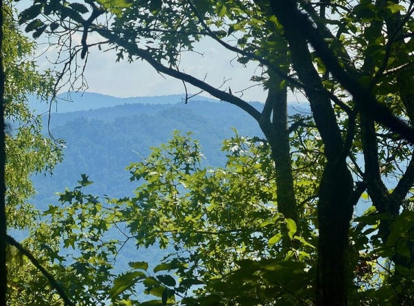 Longview Ridge lot: 67, Sylva, NC 28779