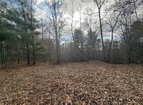 Valerie Dr 10.76 acres, Deer Lodge, TN 37726