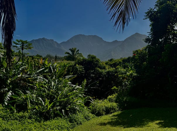 5339 HONOIKI RD, Princeville, HI 96722