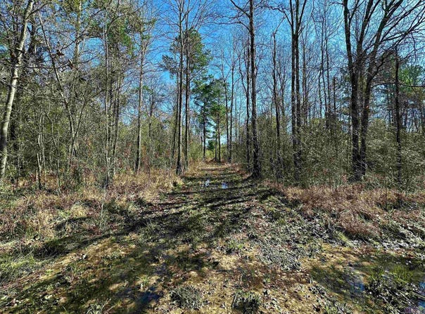 D-4-A Stella Ln, Walker, LA 70785
