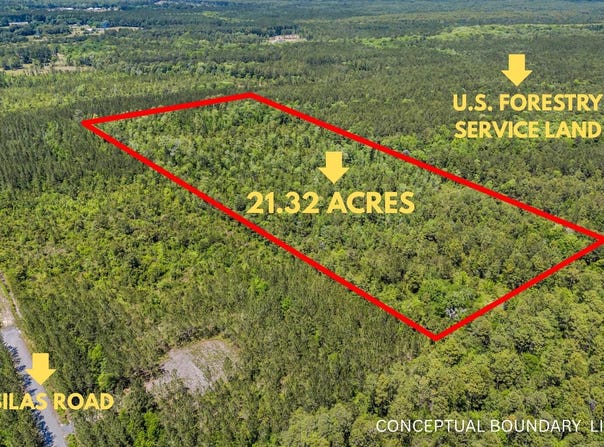 Deas Hill Road, McClellanville, SC 29458