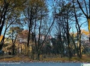 1807 Penn Forest Drive, Penn Forest Twp, PA 18210