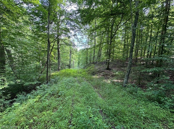 Township Rd 291, Corning, OH 43730