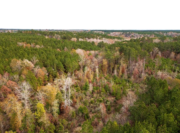 County Road 1247, Center, TX 75935