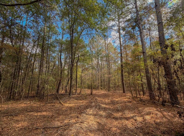Co Rd 359, Maplesville, AL 36750