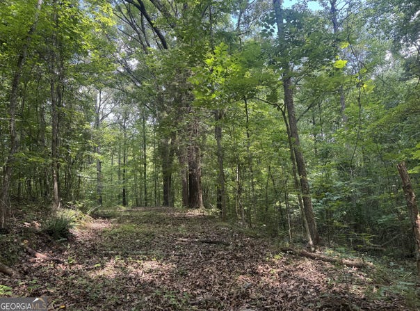 Hickey Road, Franklin, GA 30217