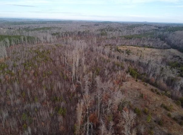 60 Acres Herzig Road, Meherrin, VA 23954