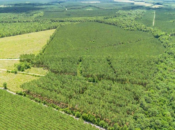 Ten Acre Rd., Andrews, SC 29510