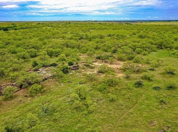 FM 175, Jacksboro, TX 76365