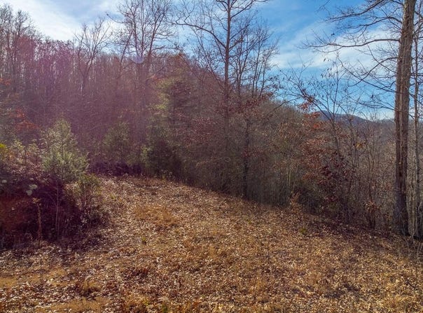 Garnet Ridge Preserve, Sylva, NC 28779
