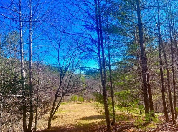 Riverside Dr lot: 7, 9A, Independence, VA 24348