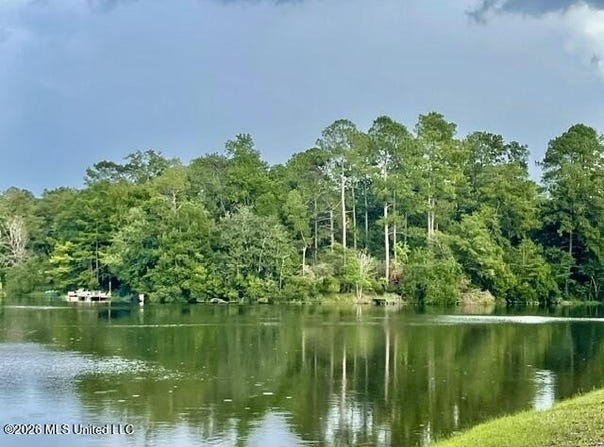 Flurry Drive, Perkinston, MS 39573