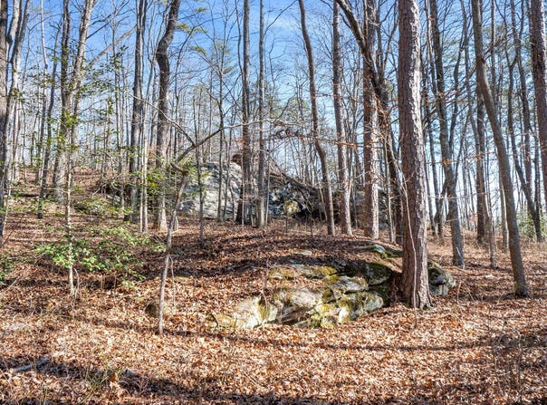 Tall Tree Trail lot: 406, Dunlap, TN 37327