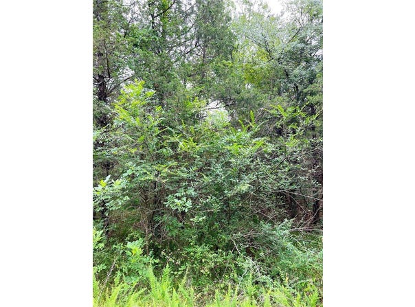 Cedar Lane lot: 60, Diamond City, AR 72644