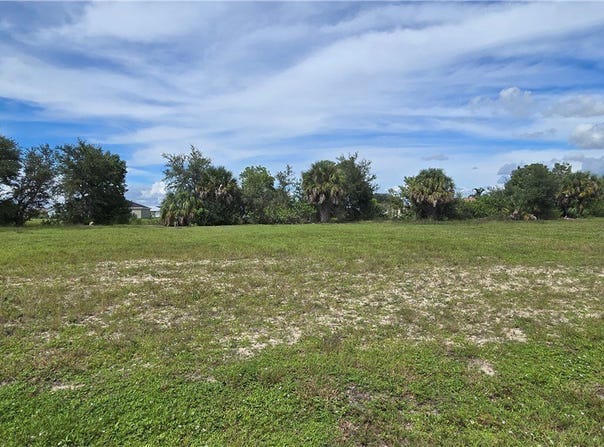 1315 NW 8th Terrace, Cape Coral, FL 33993