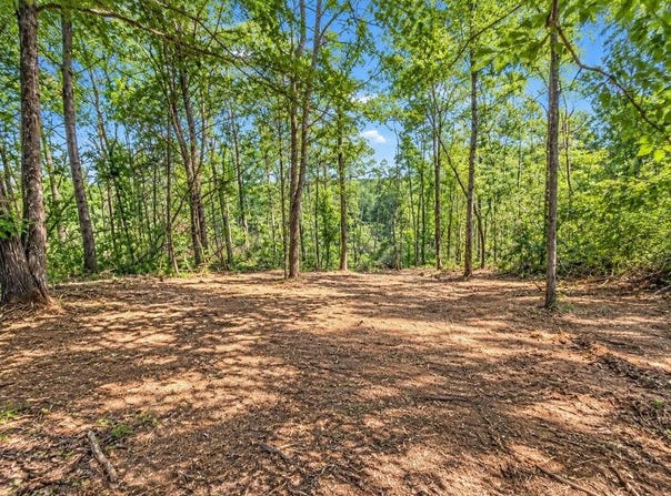 Shakerag Rd., Hanson, KY 42412