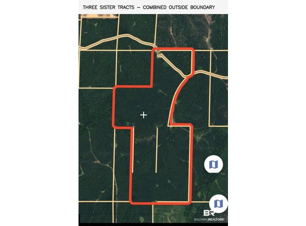 Martin Road;, Greensboro, AL 36744