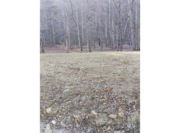 Miller Cove Rd, Catawba, VA 24070